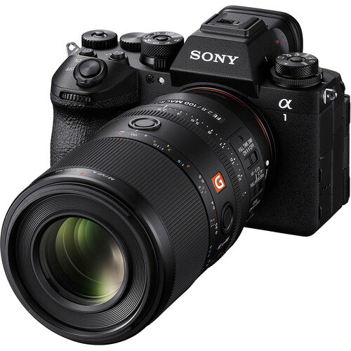 Lente Sony FE 100mm f/2.8 Macro GM (Sony E)
